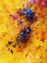 Abstract amber background with splash and circle