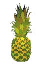 Cartoon illustration- a pineapple