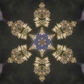 Abstract angular star shape like a snowflake made from photo of white flowers in California