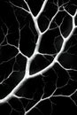 Abstract angular vines with geometric shapes and sharp lines form a modern pattern of foliage