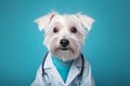 Abstract animal concept, small cute white dog in medical white coat as vet,