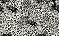 Abstract Animal leopard with floral Print Seamless repeat print textile pattern