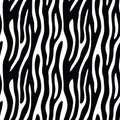 Abstract animal print. Seamless vector pattern with zebra/tiger Royalty Free Stock Photo