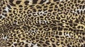 Abstract animal skin leopard pattern design. Jaguar, leopard, cheetah, panther fur. Colored camouflage background. Vector Royalty Free Stock Photo