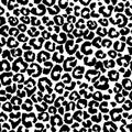 Abstract animal skin leopard seamless pattern design. Jaguar, leopard, cheetah, panther. Black and white seamless camouflage Royalty Free Stock Photo