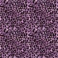 Abstract animal skin leopard seamless pattern design. Stylized leopard print wallpaper Royalty Free Stock Photo