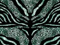 Abstract animal skin pattern with fur