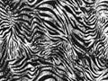 Abstract animal skin pattern with fur