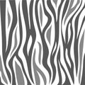 Abstract animal skin zebra pattern design