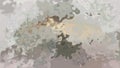 Animation stained background seamless loop video - watercolor splotch effect - pale beige, gray, light brown color