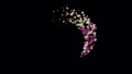Abstract animation of cluster of large and small multicolored dots rotating on the circle. Animation. Delightful