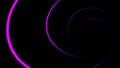 Abstract animation of swirling neon lines on black background. Animation. Digital graphics of neon tunnel twisting