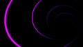 Abstract animation of swirling neon lines on black background. Animation. Digital graphics of neon tunnel twisting