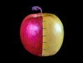 Abstract apple