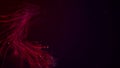 abstract aqua particle background, Floating red Particles in Background Royalty Free Stock Photo
