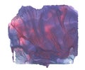 Abstract aquatype watercolor stain with splashes and spatters. Royalty Free Stock Photo