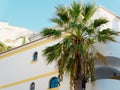 Abstract architectural background with rounded corner of white house and palm tree under blue sky Royalty Free Stock Photo