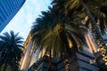 Abstract architectural background with white concrete house exterior fragment and palm trees under blue cloudy sky Royalty Free Stock Photo