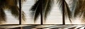 abstract architectural shadows of palm trees, conveying a tropical atmosphere and play of shadows.