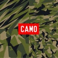 camo Pattern camo army camo soldier camo abstract vector
