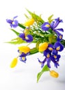 Abstract arrangement of purple irises, yellow tulips and mimosa on white background Royalty Free Stock Photo