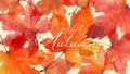 Abstract art autumn background with maple leaves watercolor Royalty Free Stock Photo