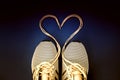 Laced sneaker heart