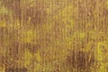 Abstract art background dark brown and green colors. Watercolor painting on canvas with yellow gradient Royalty Free Stock Photo