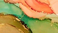 Abstract art background with a vibrant, flowing pattern of green and orange ink with beautiful shimmering gold accents Royalty Free Stock Photo