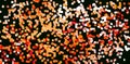 Abstract Art: Camp Fire Bliss: Orange, Pink, Red, Yellow & White Marshmallow Cubes Floating In The Void. Royalty Free Stock Photo