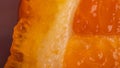Abstract and art orange slice detail Royalty Free Stock Photo