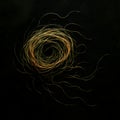 Abstract art spiral trhead random inbthe Black background Royalty Free Stock Photo