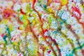 Abstract art of vivid bright colorful watercolor splash and drops on the white paper