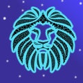 Abstract art zodiac colourpop night scene King lion jungle starts sky abstract