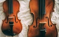 The abstract artdesign background of two violins Royalty Free Stock Photo