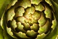 Abstract artichoke