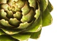 Abstract artichoke Royalty Free Stock Photo