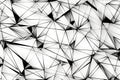 Abstract Artistic background composed of intricate triangulations and delicate black lines on a light backdrop. Ai generated Royalty Free Stock Photo