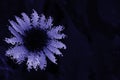 Abstract Artistic Flower Background Blue