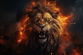 Abstract, artistic lion portrait Fire flames fur, black background Big adult lion with rich mane Royalty Free Stock Photo