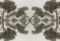 Abstract artsy background of trees mirrored opposite each other