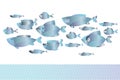 Abstract assorted blue silver fish pattern for card