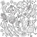 Abstract Australian animals, flowers and leaves set. Vector linear drawing