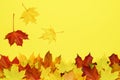 Abstract autumn background with colorful maple leaves on yellow