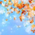 Abstract autumn background. EPS 10 Royalty Free Stock Photo