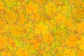 Abstract pigmented maple leaves background