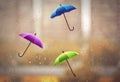 Abstract autumn background, three wet umbrellas, rain