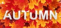 Abstract Autumn Background wiyj Falling Leaves. Vector Illustratiion Royalty Free Stock Photo