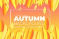 Abstract Autumn floral banners creative contemporary