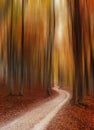 Abstract autumn forest magic background